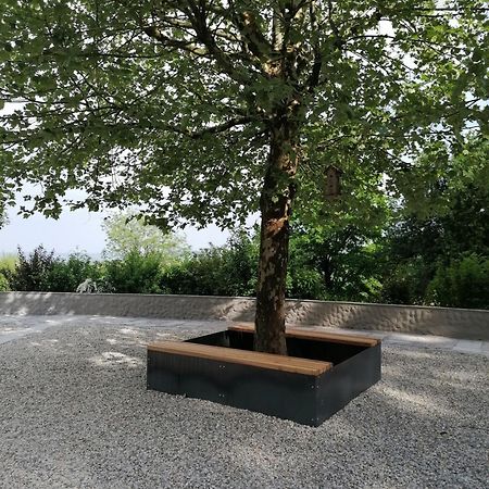 Ferienwohnung Schuhmann Mit Wintergarten Und Garten Therme Aquapulco Und Ikuna Erlebnispark, Zoo Schmiding 20 Min Mit Auto Entfernt Ab 3 Naechte Buchbar Hinzenbach Экстерьер фото