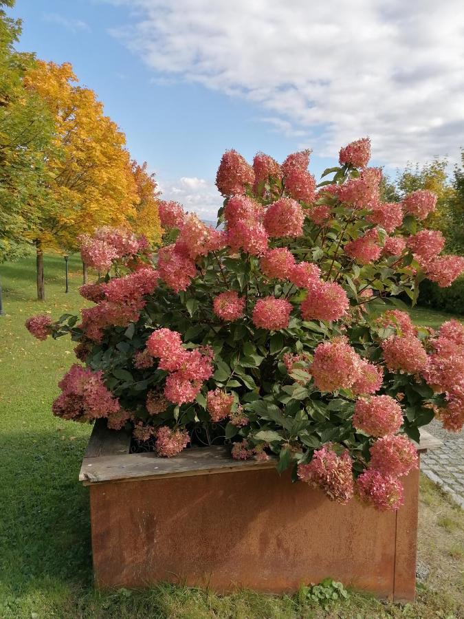 Ferienwohnung Schuhmann Mit Wintergarten Und Garten Therme Aquapulco Und Ikuna Erlebnispark, Zoo Schmiding 20 Min Mit Auto Entfernt Ab 3 Naechte Buchbar Hinzenbach Экстерьер фото