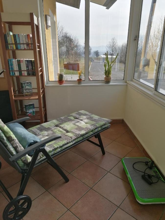 Ferienwohnung Schuhmann Mit Wintergarten Und Garten Therme Aquapulco Und Ikuna Erlebnispark, Zoo Schmiding 20 Min Mit Auto Entfernt Ab 3 Naechte Buchbar Hinzenbach Экстерьер фото