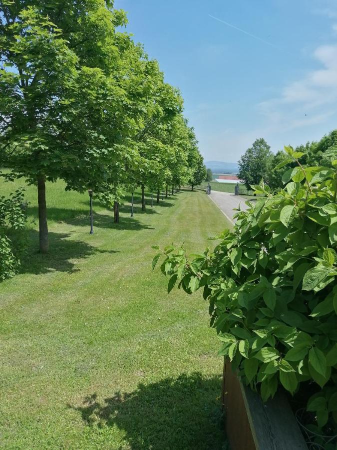 Ferienwohnung Schuhmann Mit Wintergarten Und Garten Therme Aquapulco Und Ikuna Erlebnispark, Zoo Schmiding 20 Min Mit Auto Entfernt Ab 3 Naechte Buchbar Hinzenbach Экстерьер фото
