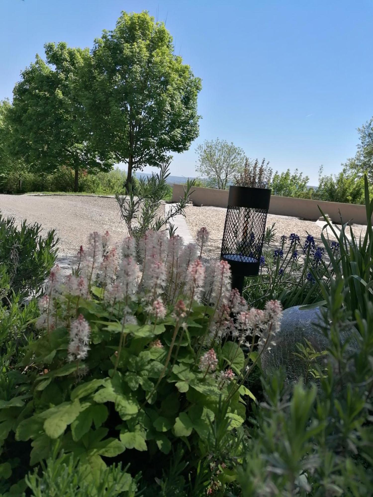 Ferienwohnung Schuhmann Mit Wintergarten Und Garten Therme Aquapulco Und Ikuna Erlebnispark, Zoo Schmiding 20 Min Mit Auto Entfernt Ab 3 Naechte Buchbar Hinzenbach Экстерьер фото